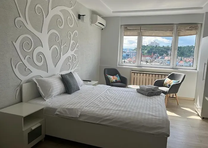 Apartment Napoca Apartament Lux Cuza Voda Cluj-Napoca